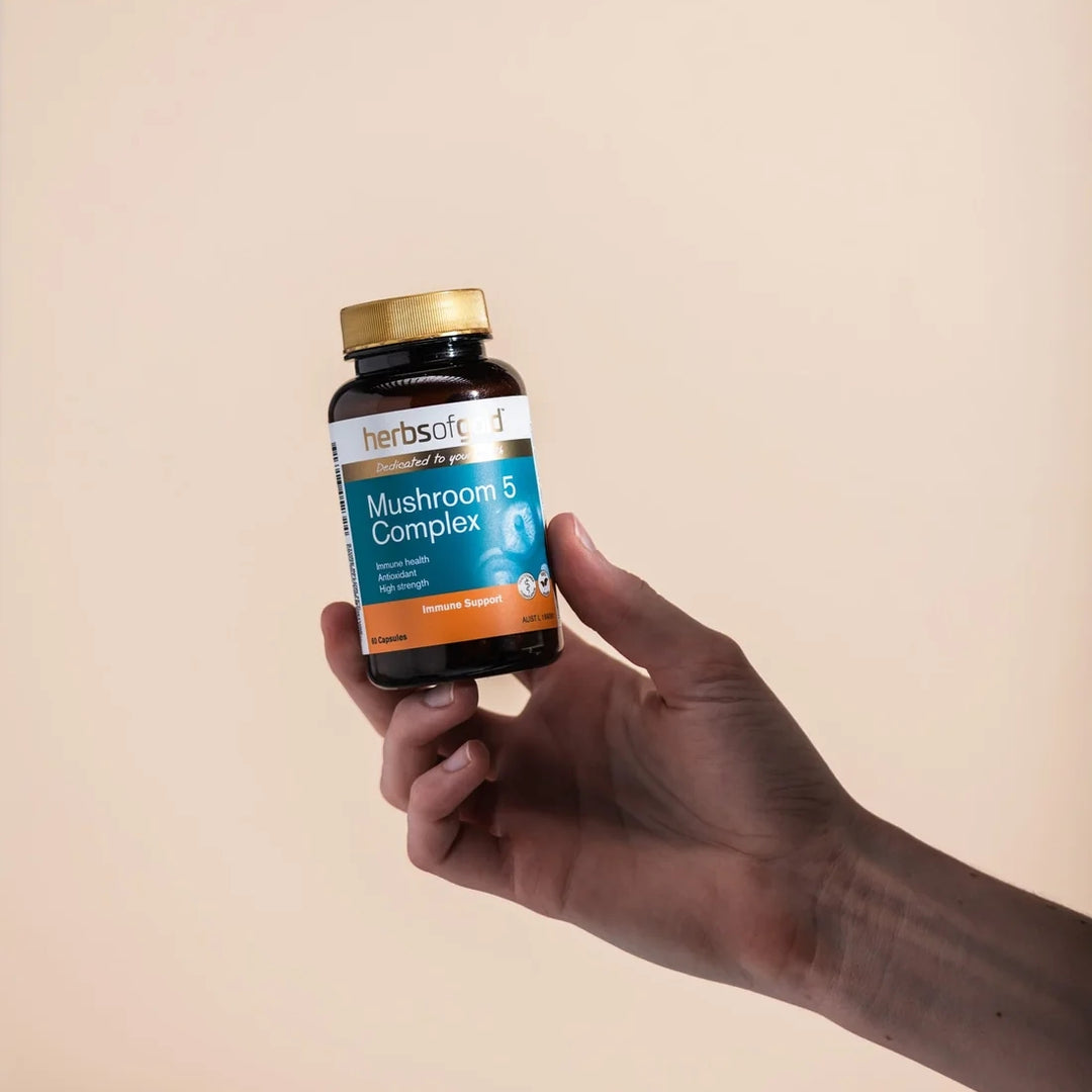 Herbs of Gold Mushroom 5 Complex 60 Capsules